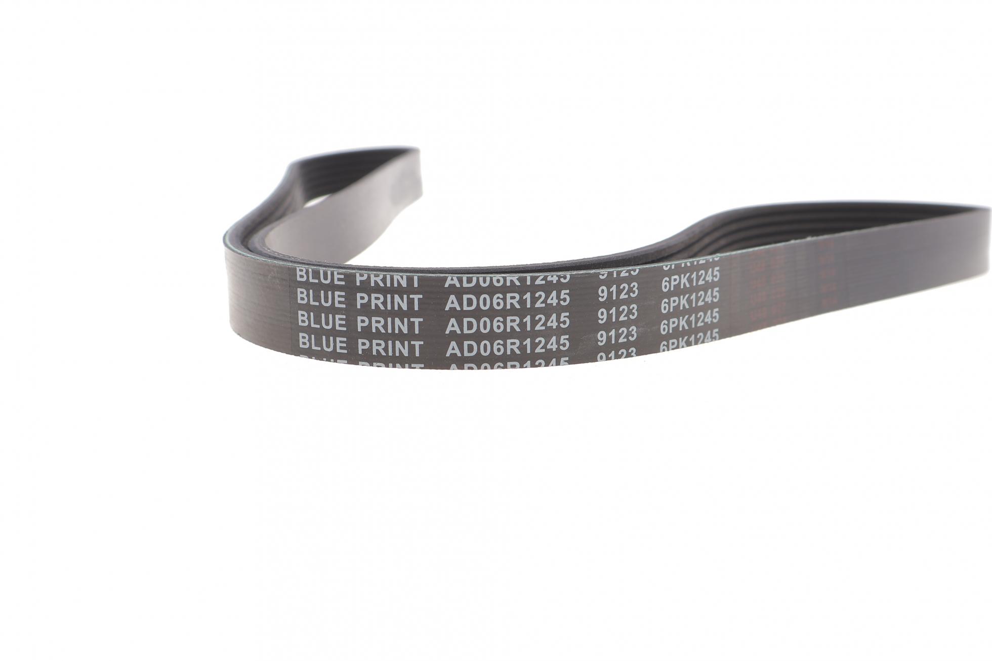 AD06R1245 BLUE PRINT